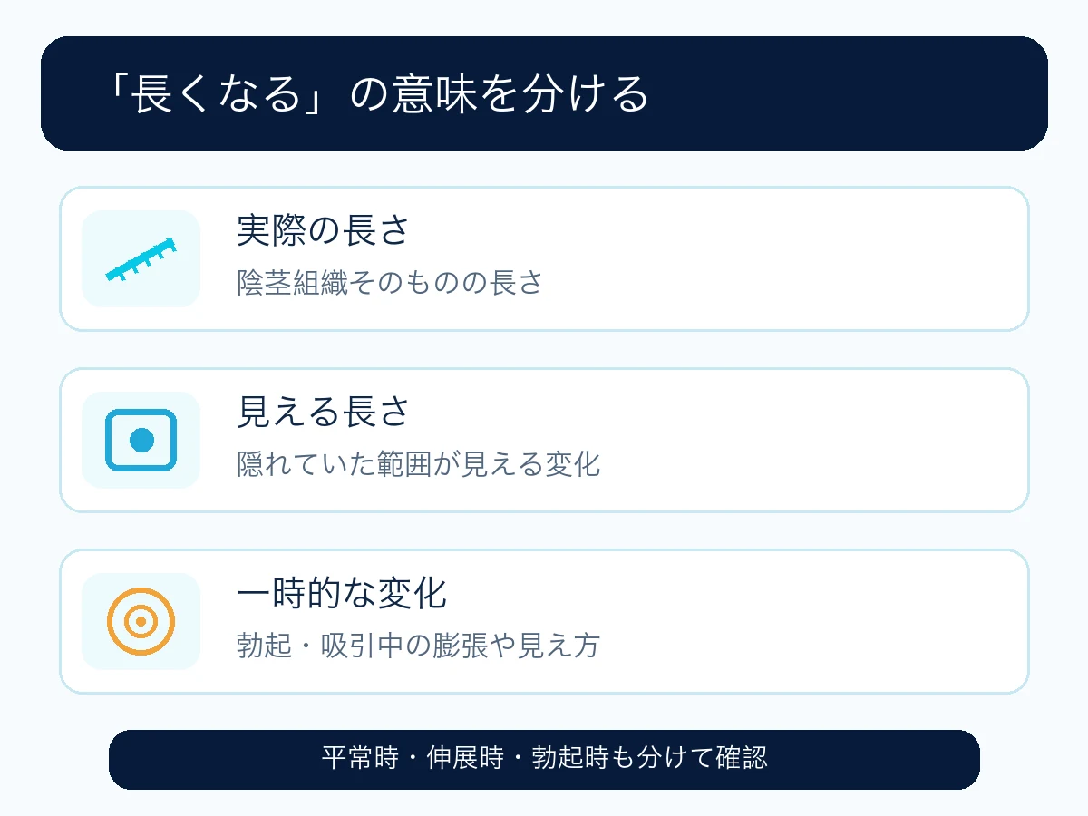 ペニスの実際の長さ、見える長さ、一時的な変化の違いを整理した図