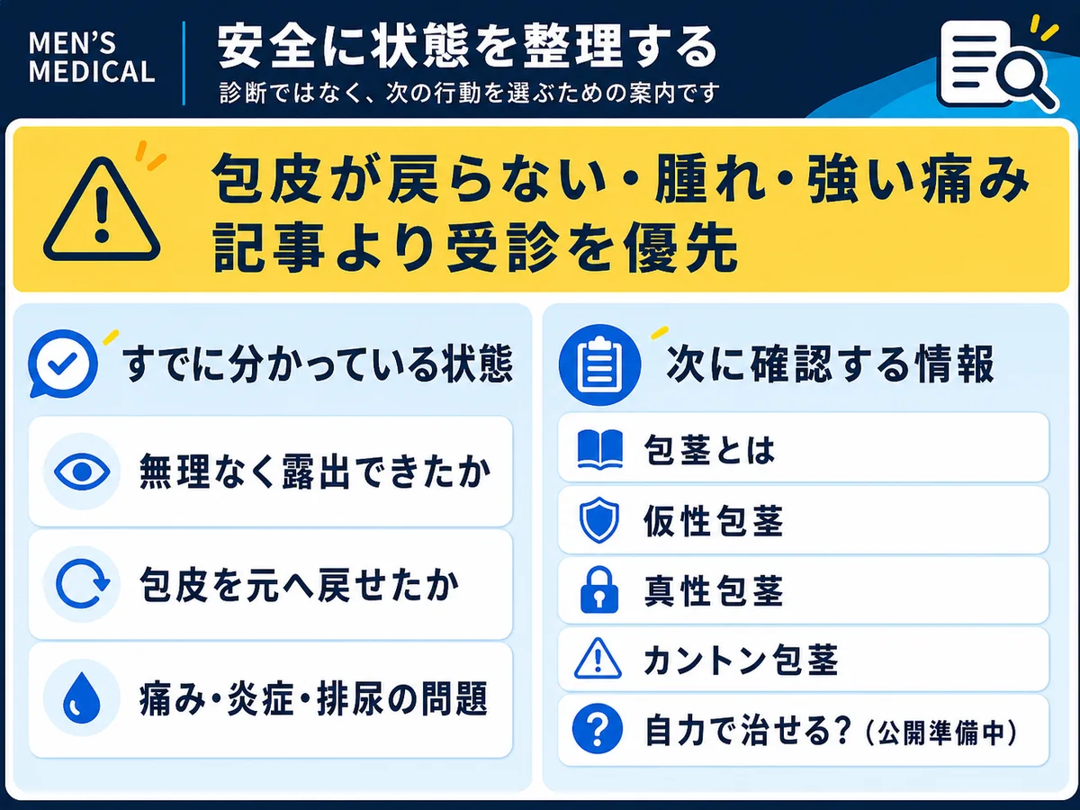 包皮の戻りや症状から受診の優先度と次に確認する情報を整理する案内図